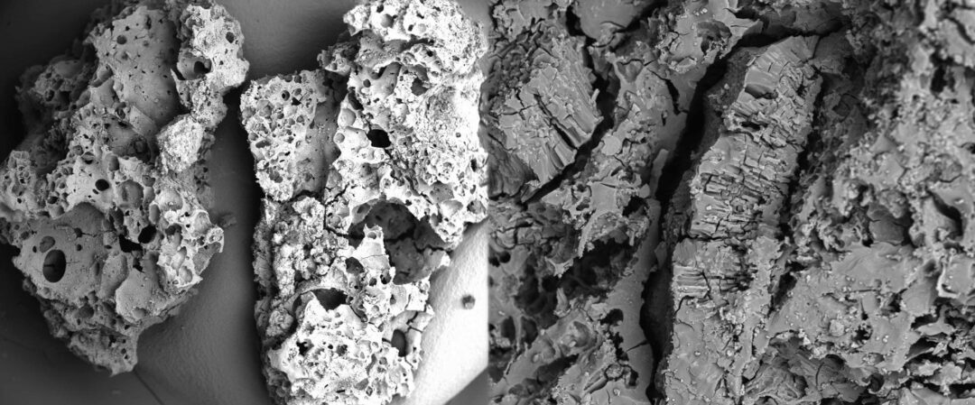 Mikroskopbilder på förkolnade fragment