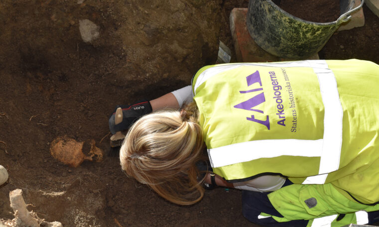 arkeolog i gula kläder gräver fram skalle ur jorden