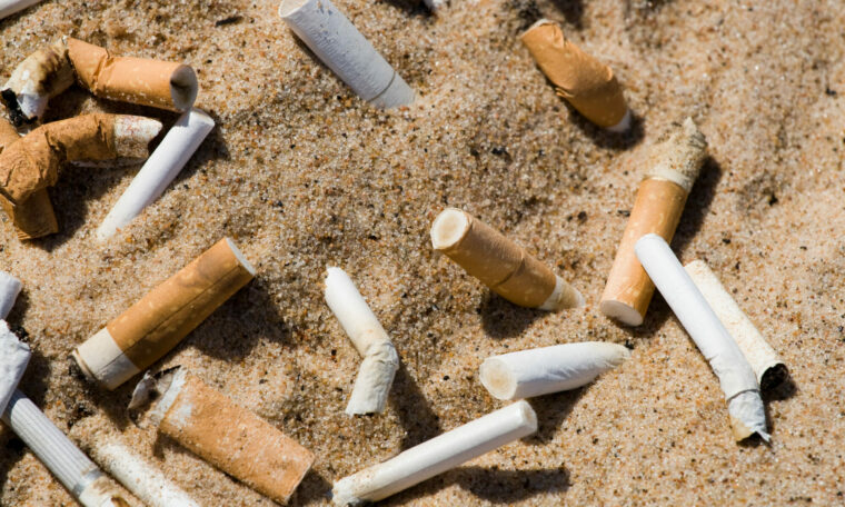 Cigarrettfimpar på stranden