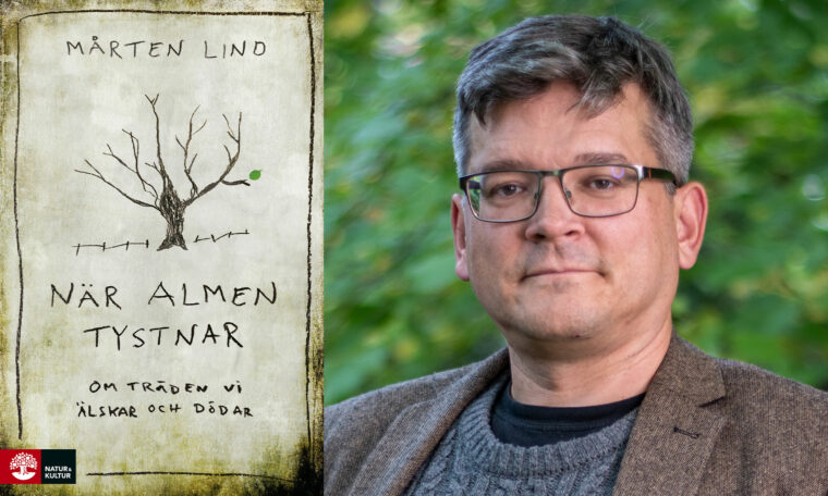Porträtt av Mårten Lind och omslaget till hans bok ”När almen tystnar”
