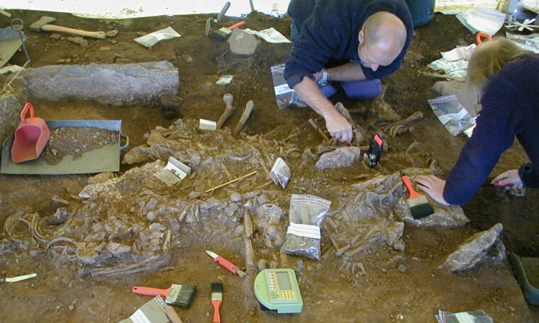 arkeologer gräver ut