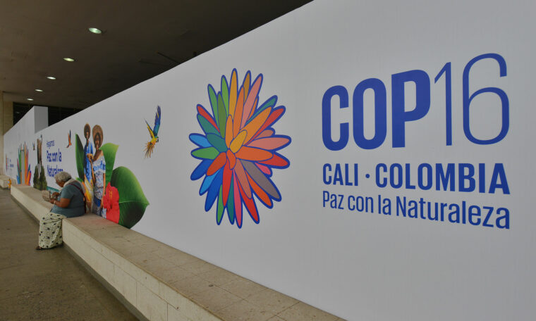 COP16