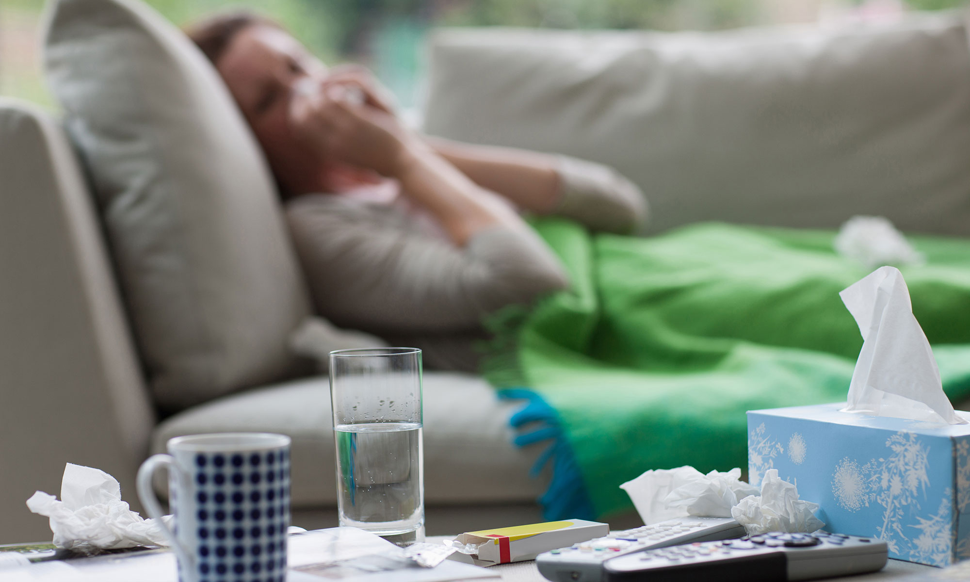 Alpacka kan bidra till bättre influensavaccin