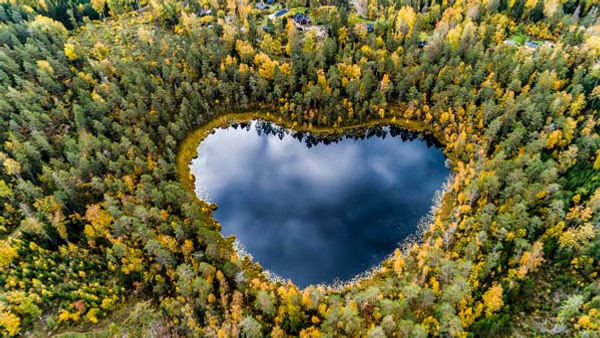 flygbild föreställande hjärtformad sjö i skog