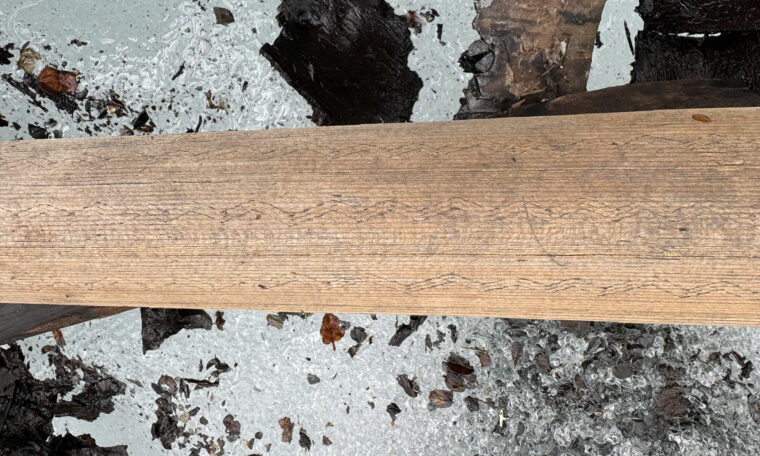 Dekor på åran vid fångstfällan