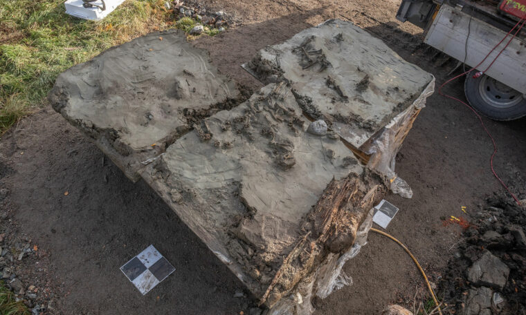 Något ligger dolt i en en stor klump lera