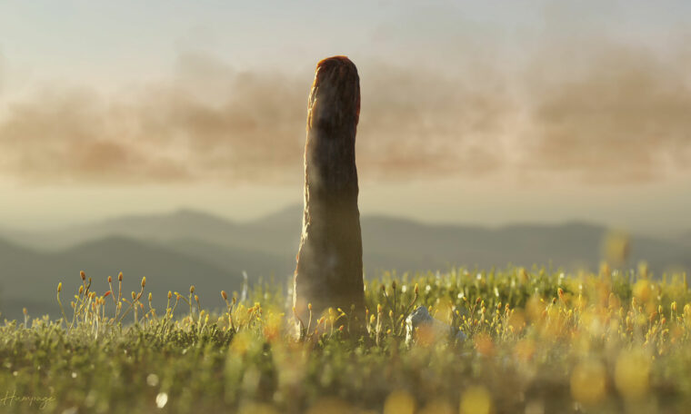 en stamliknande växt som växer mycket högre än allt annat