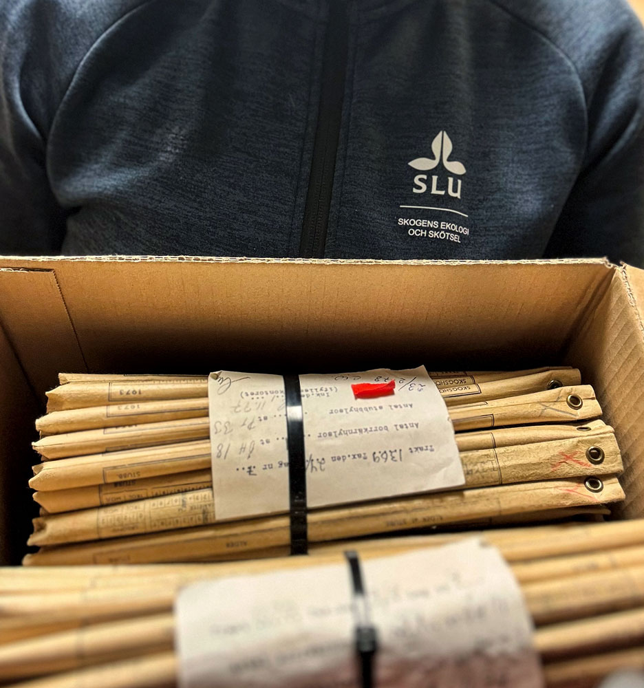 gamla pappersrör i en kartong