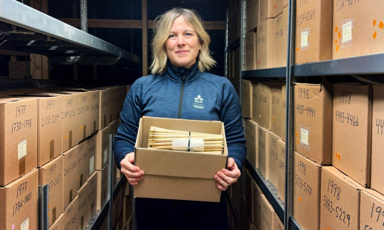 Kelly Bassett bär en kartong med pappersrör. Runtomkring finns hyllor med fler kartonger