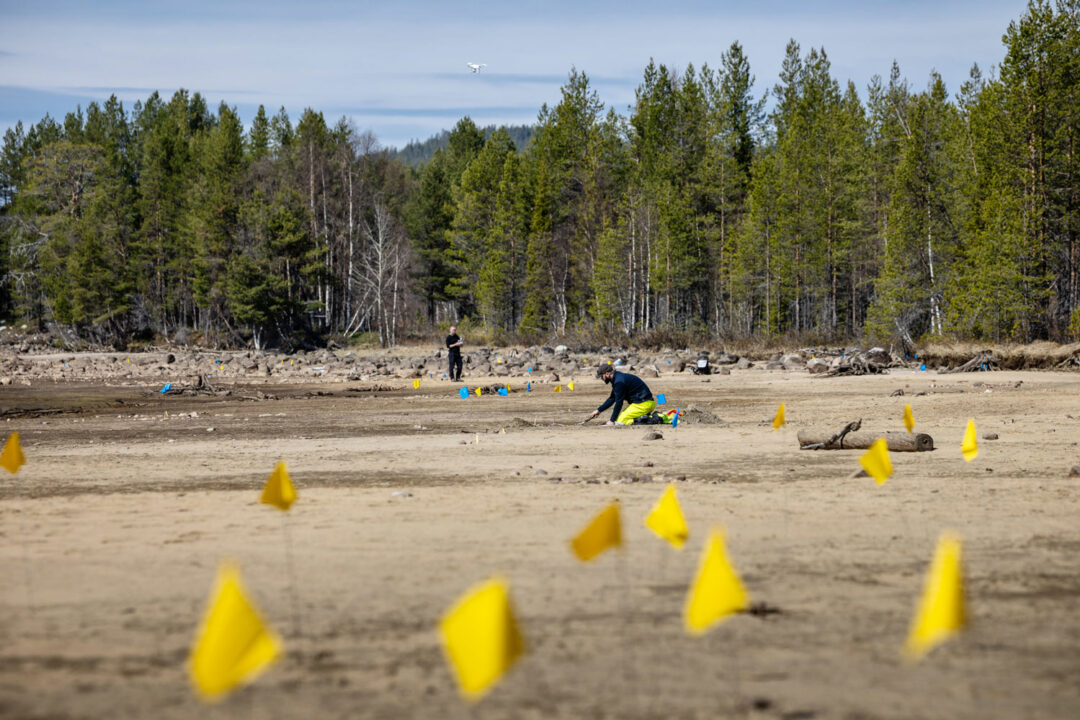 sandstrande med gula och blå flaggor som arkeologer placerat ut