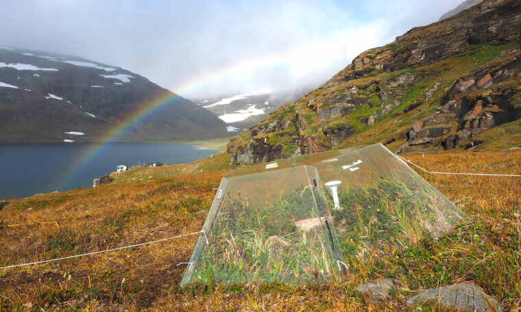 litet växthus utan tak på fjället, bar mark och regnbåde