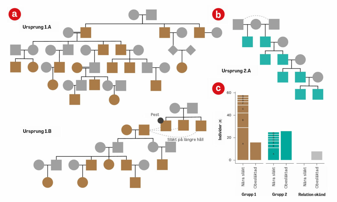 karta över population i en grav
