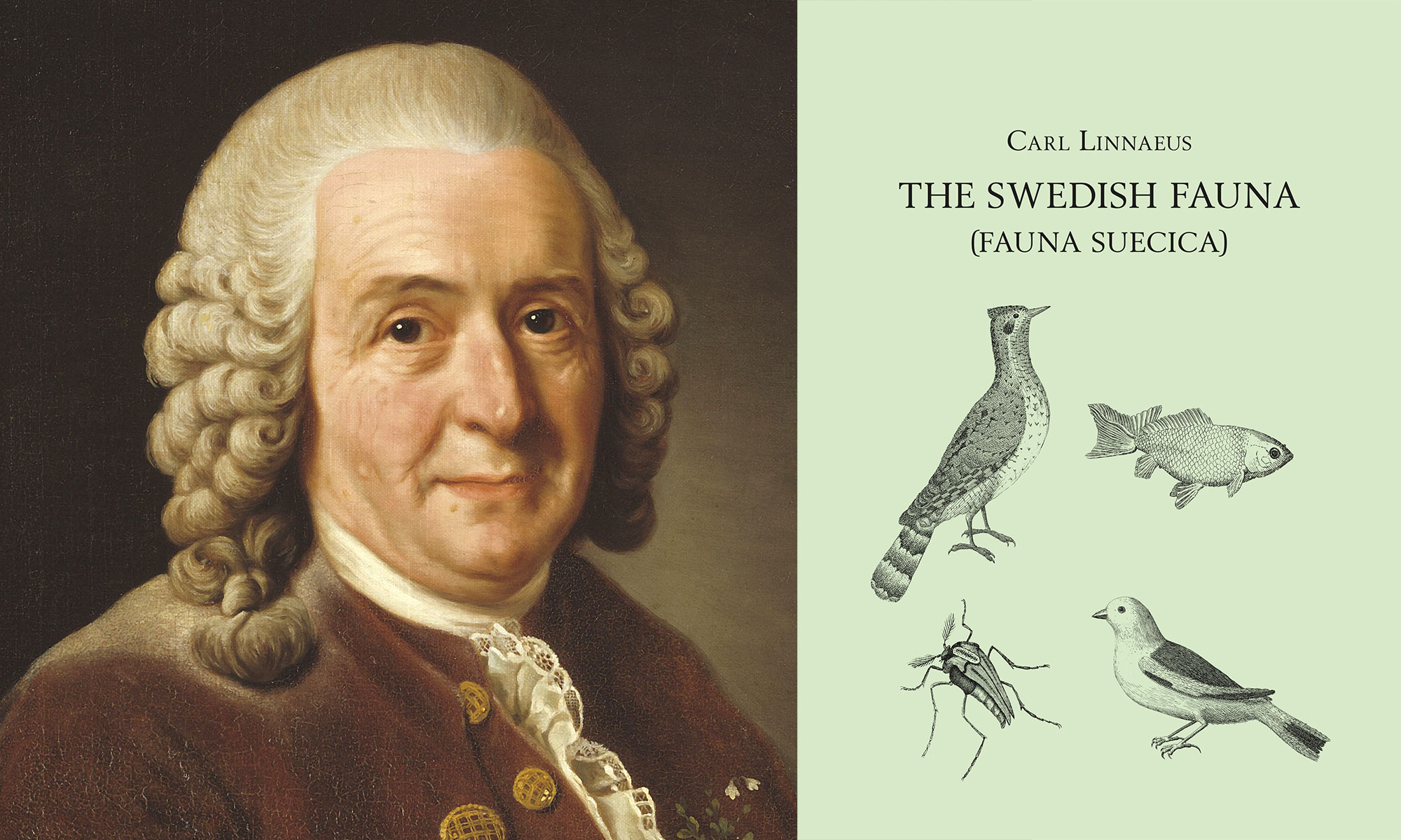 ”Det var som att sitta med Linné i hans arbetsrum” | Forskning & Framsteg