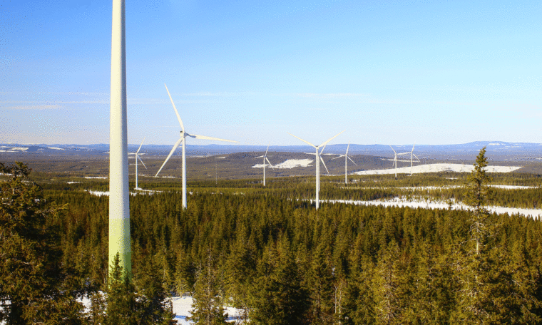 Vindkraftspark i skogsmark