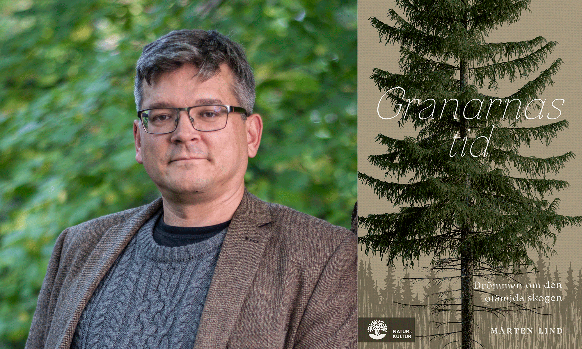 ”Man tyckte att granen var ett ogräs som trängde sig på” | Forskning & Framsteg