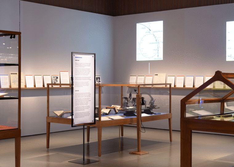 Utställningsmontrar på ett museum