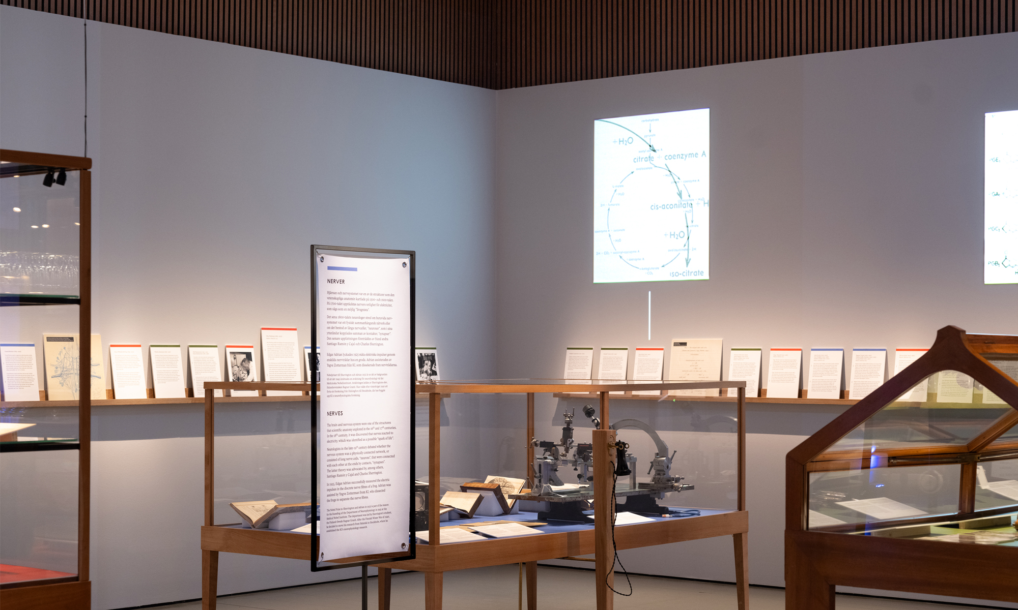 Mänsklighetens samarbete i fokus på Nobelprismuseet | Forskning & Framsteg